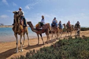 Camel-riding-agadir