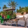 Taroudant-City