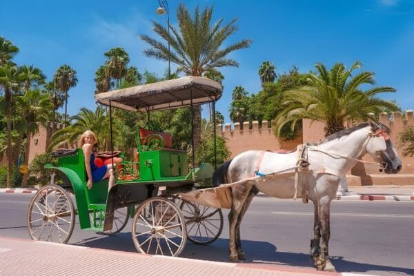 Taroudant-City