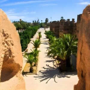 Taroudant & Tiout Tour