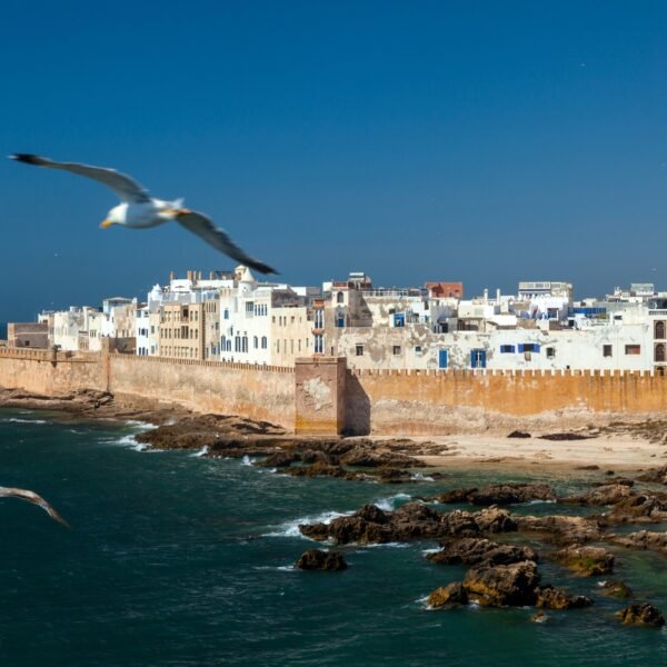 Essaouira Day Trip