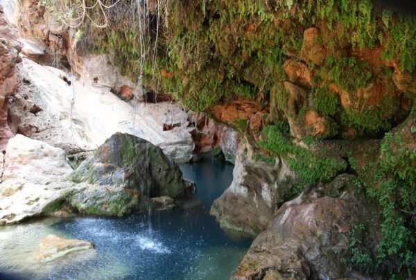 Excursion imouzzer waterfalls