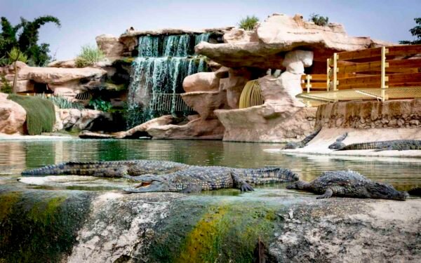 Crocodile Park trip with entry