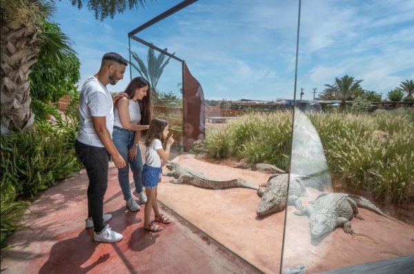 Crocodile Park trip with entry