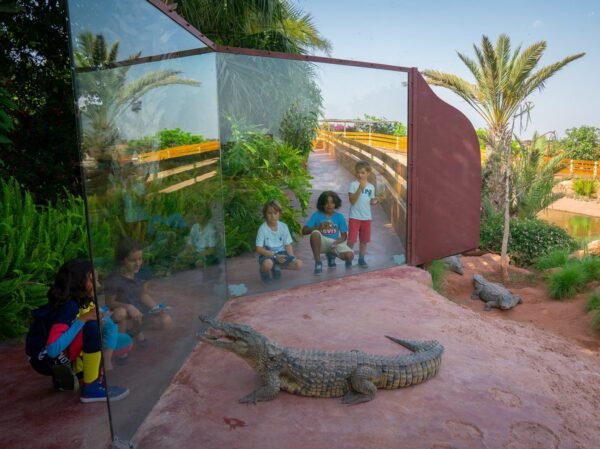 Crocodile Park trip with entry