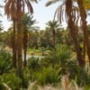 Paradise Valley & Atlas mountains