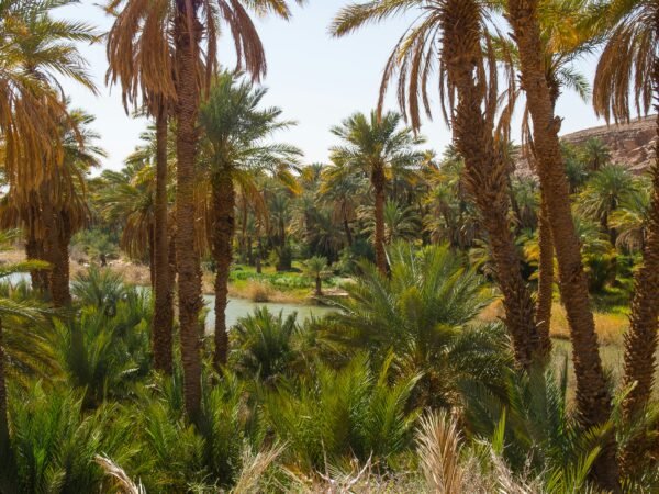 Paradise Valley & Atlas mountains