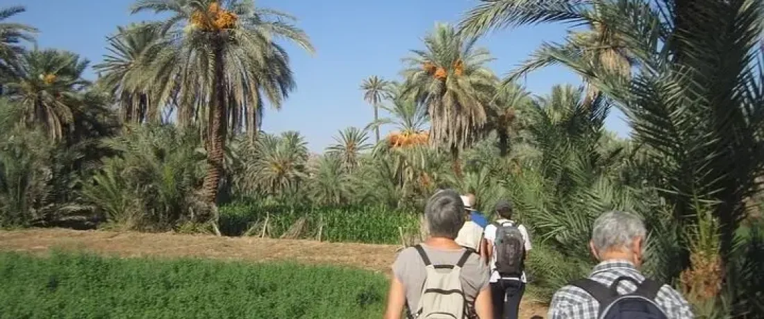 Taroudant day trip with lunch