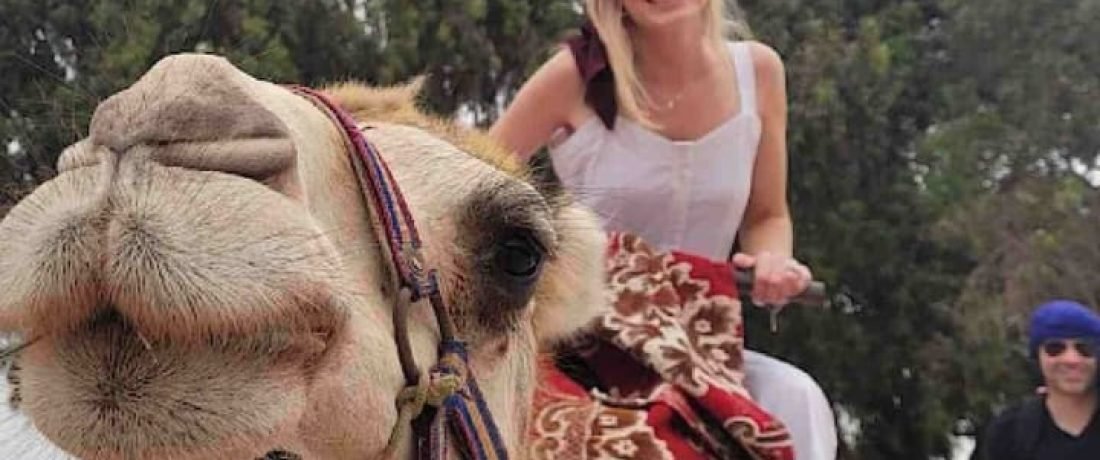 Camel-ride-agadir