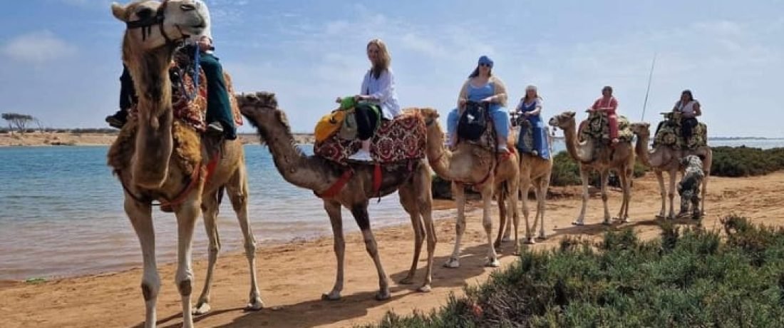 Camel-riding-agadir