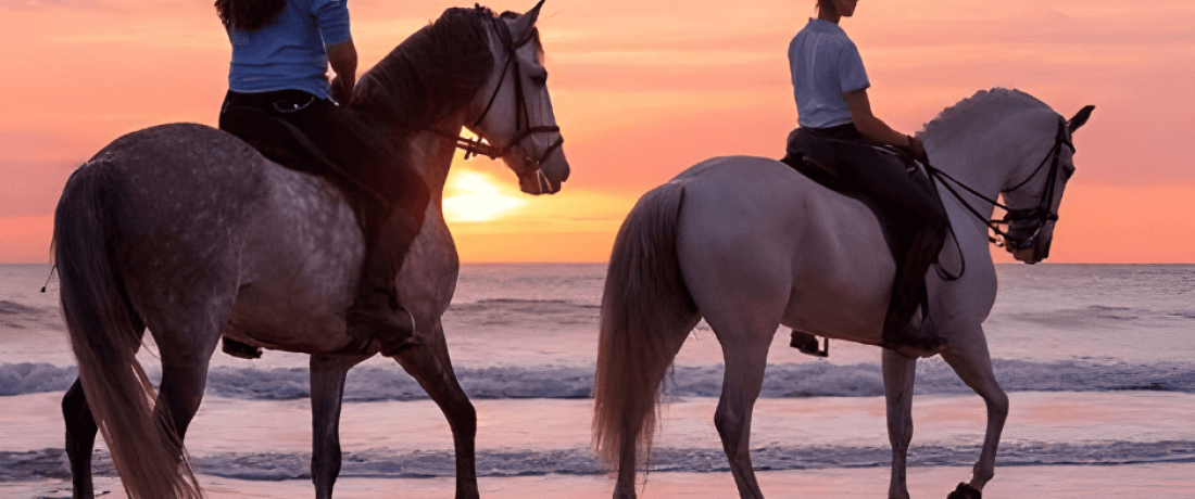 Agadir Horse Riding