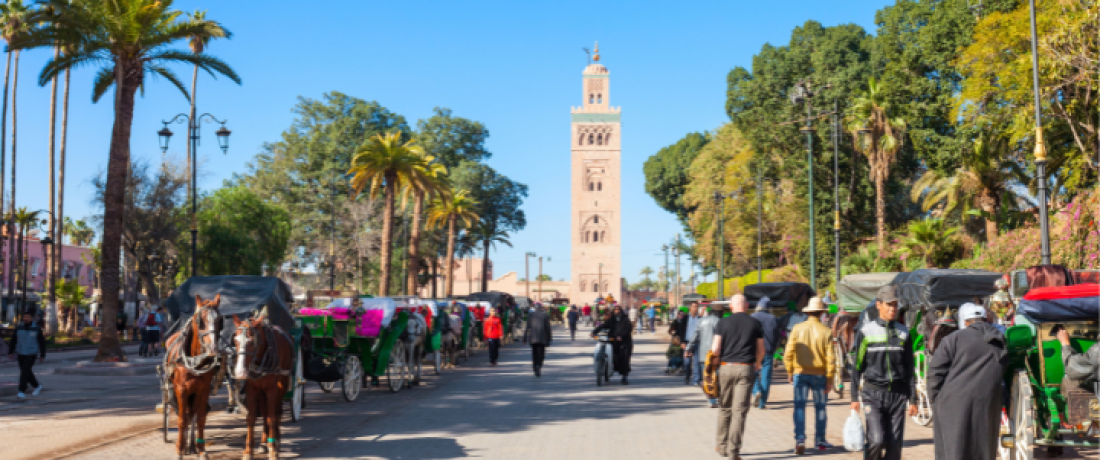 Marrakech-day-trip